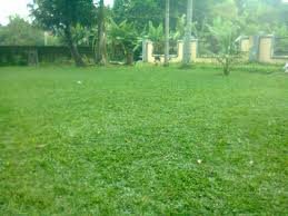images_032